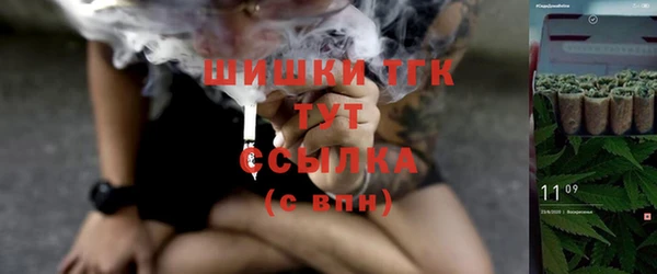 мяу мяу мука Алзамай