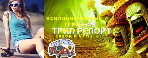 мяу мяу мука Алзамай