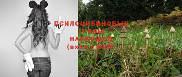 мяу мяу мука Алзамай