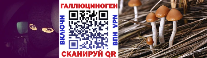 MEGA маркетплейс  цена   Харовск  Псилоцибиновые грибы прущие грибы 